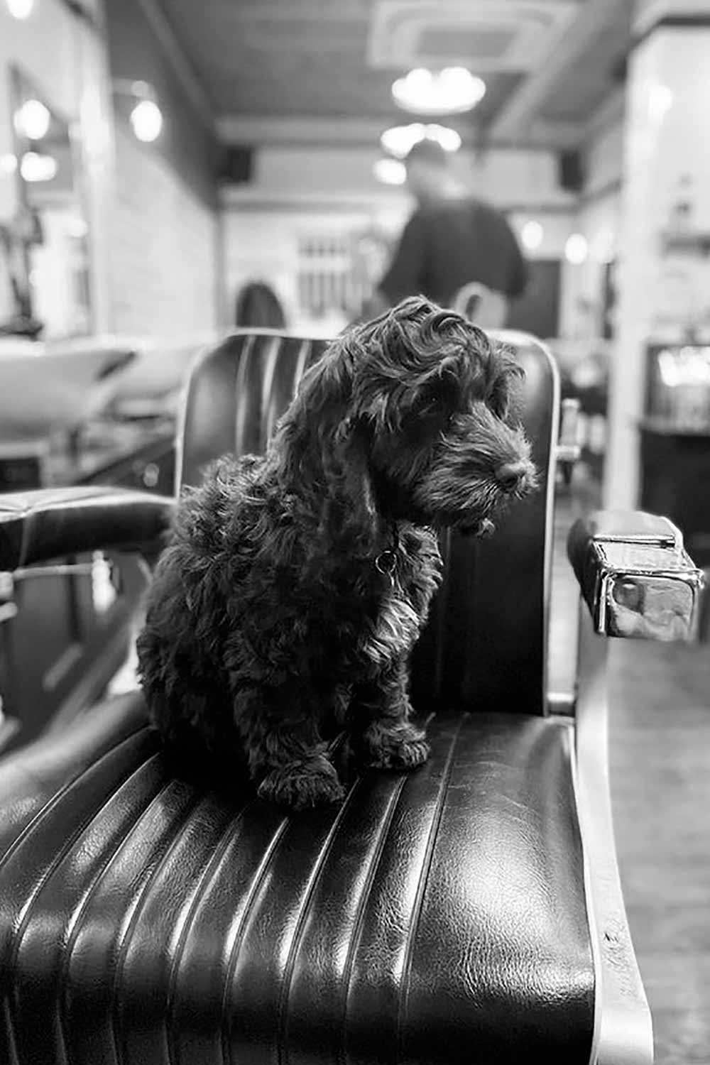 Huckle The Barber 3
