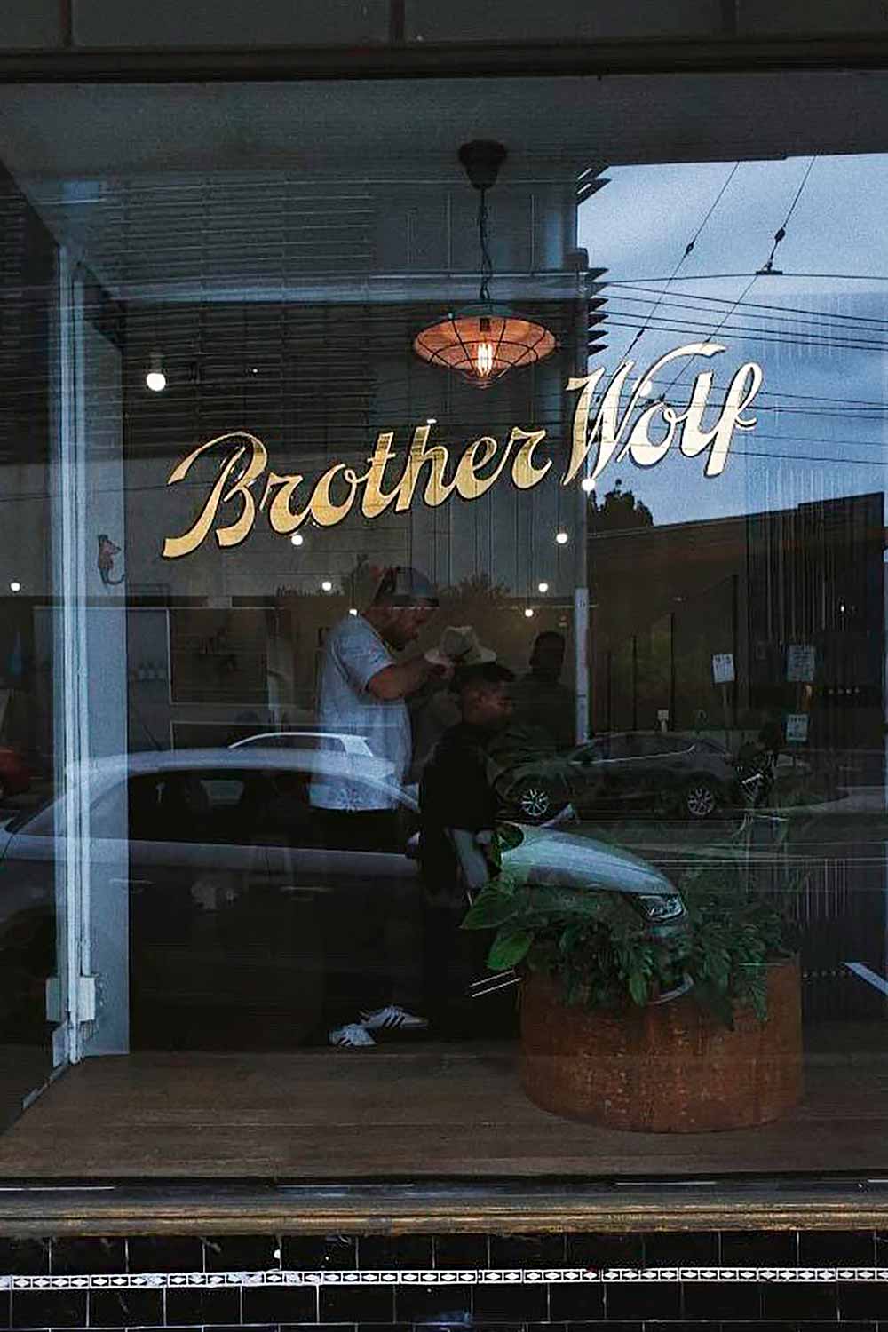 Brother Wolf 1