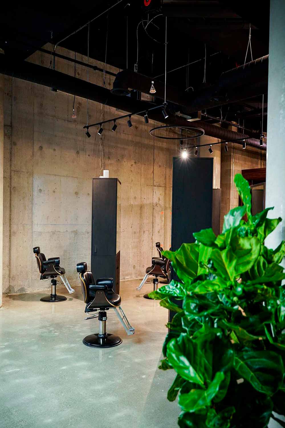 Throne Barbershop 3