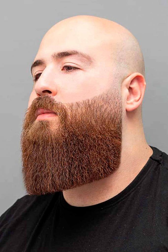 Long Faded Beard #beard #beardfade #fadedbeard 