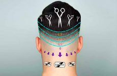 What Are Haircut Numbers And How To Convert Them Into Haircut Lengths